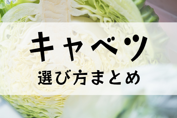 キャベツの選び方