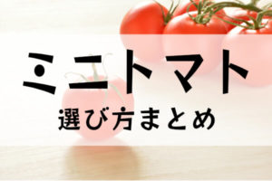 ミニトマトの選び方まとめ