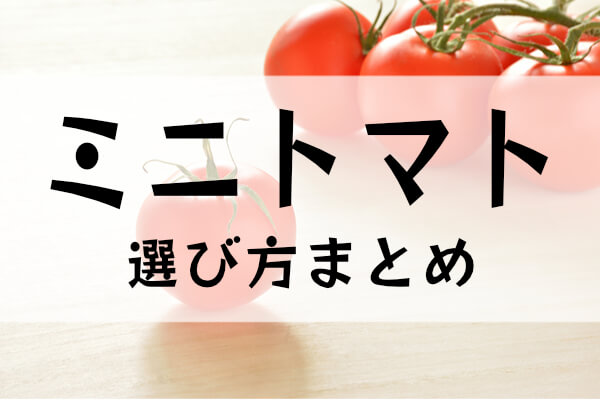 ミニトマトの選び方まとめ