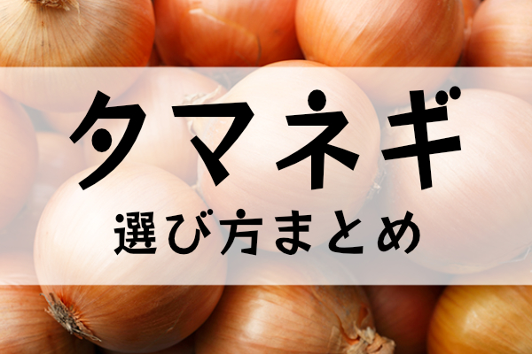 タマネギの選び方