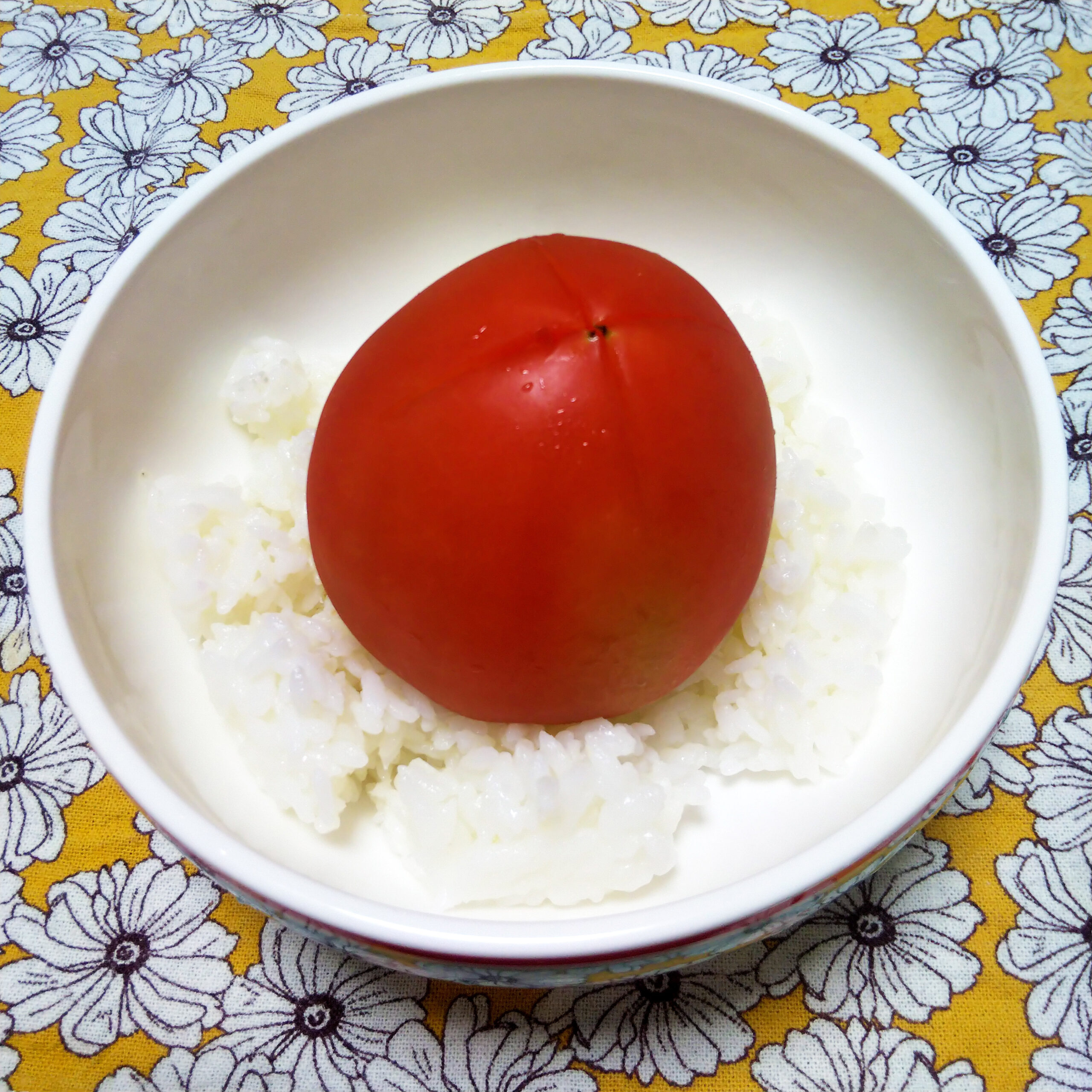 ご飯の上にトマトを乗せる