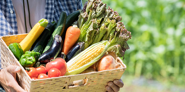 野菜セットを農家さんが配達するイメージ