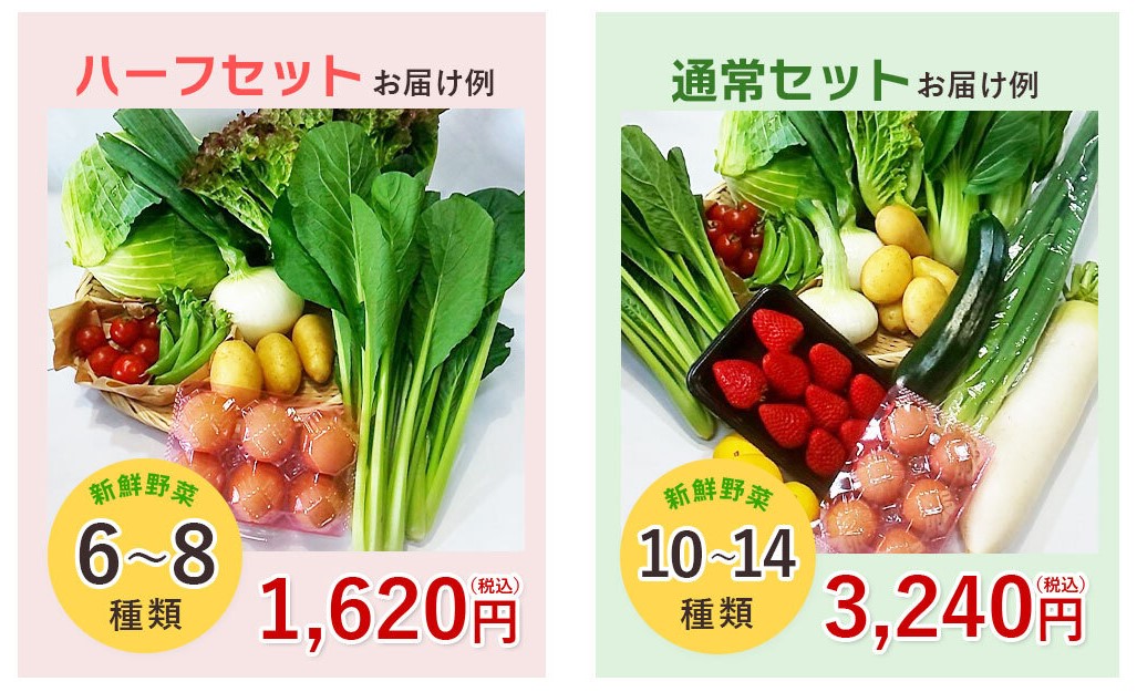 ジモベジ野菜セットとハーフセットの比較イメージ