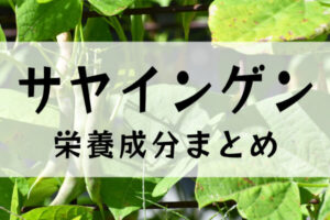 サヤインゲンの栄養成分イメージ